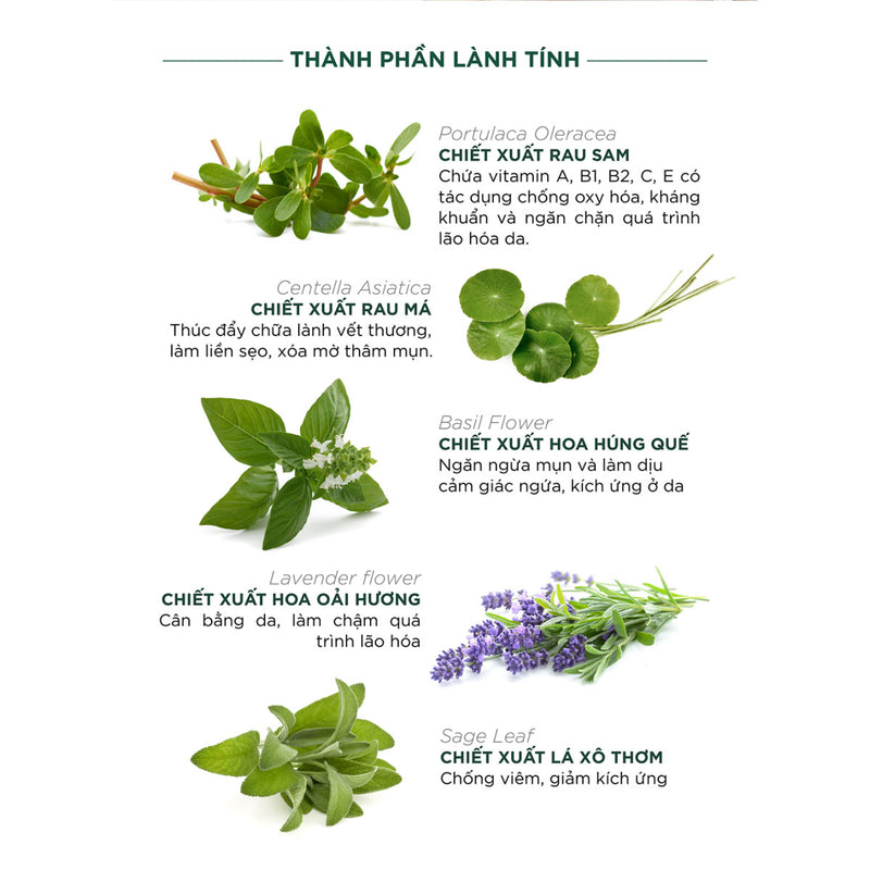 Sữa Rửa Mặt Giảm Mụn Caryophy Portulaca Foam Cleanser 150ml