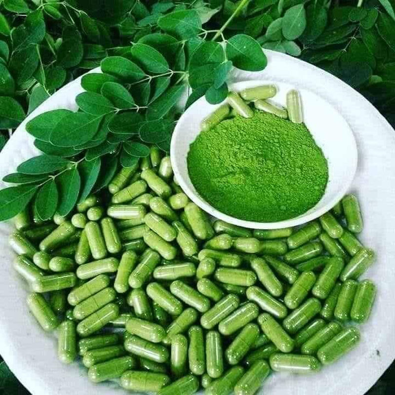 Viên Rau Chùm Ngây Moringa Capsules
